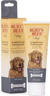 Burts Bees for Dogs Charcoal & Coconut Oil Brightening Toothpaste for Dogs
