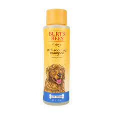Burts Bees for Dogs Itch Soothing Shampoo with Honeysuckle