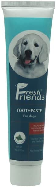 FRESH FRIENDS For Pets Dental Enzymatic Toothpaste for Dogs