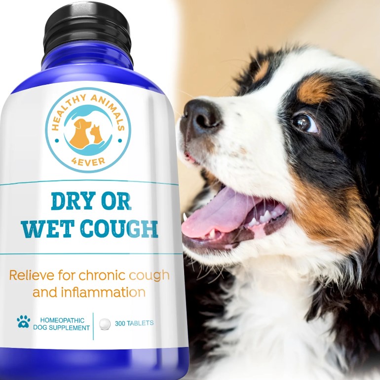 Healthy Animals 4Ever Dry or Wet Cough 