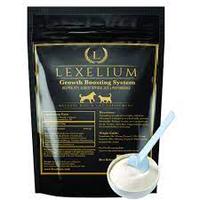 Lexelium Weight Gainer Supplement for Dogs
