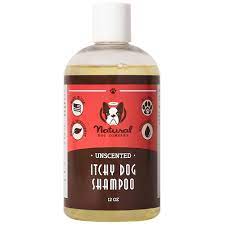 Natural Dog Company Itchy Dog Shampoo