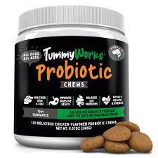 TummyWorks Probiotic Soft Chews for Dogs
