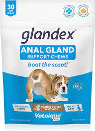 Vetnique Labs Glandex Anal Gland Soft Chew Treats with Pumpkin for Dogs Digestive Enzymes