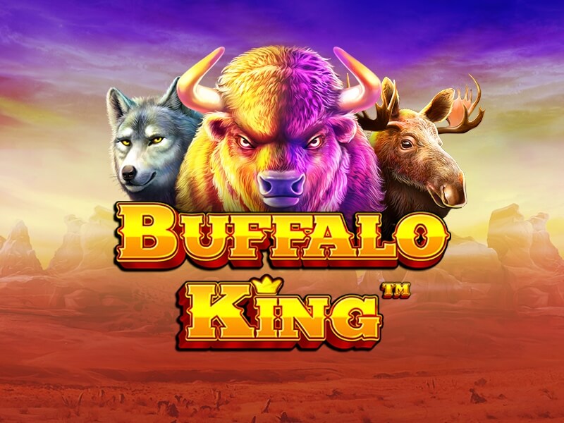 Buffalo King análise