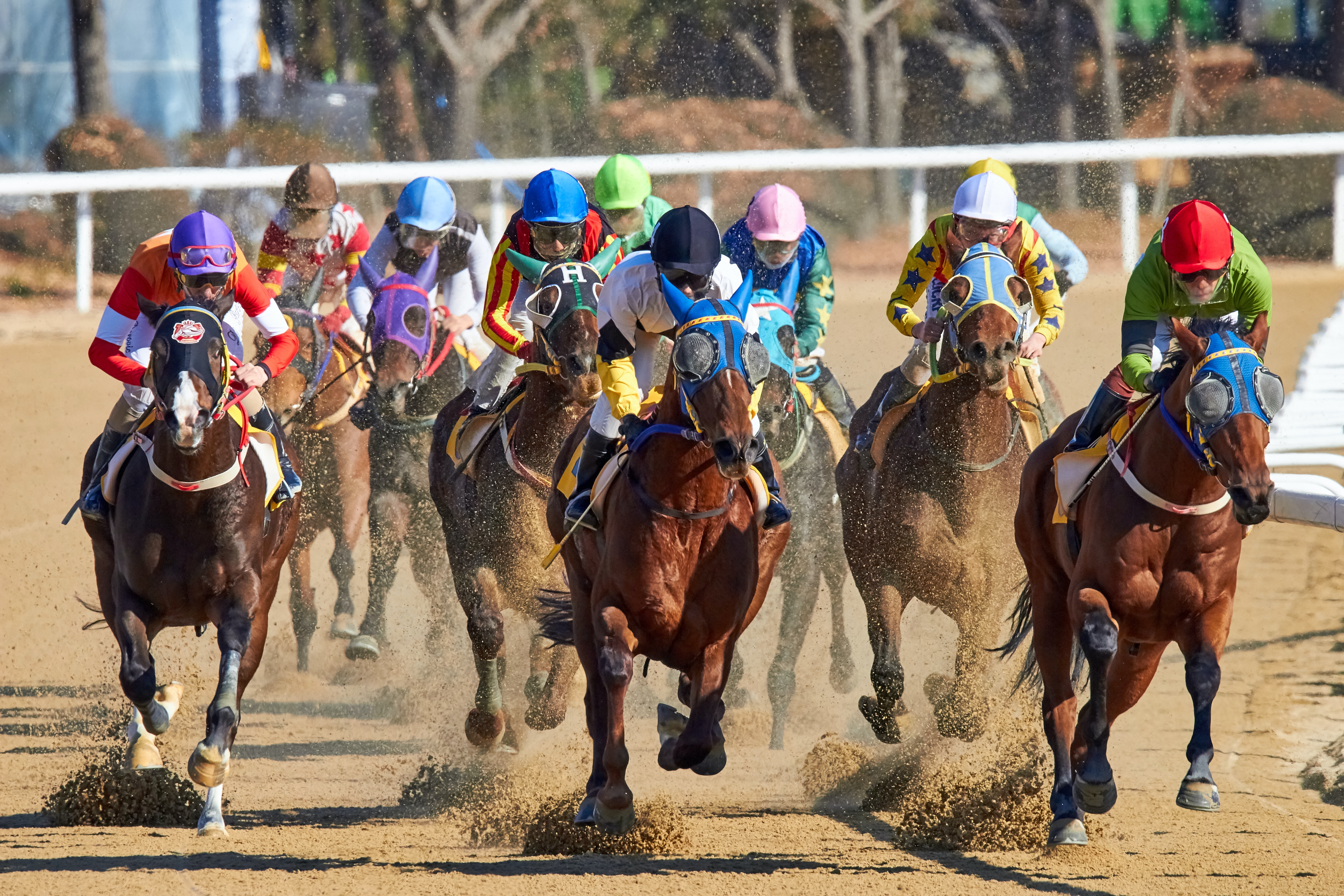 apostas em corrida de cavalo