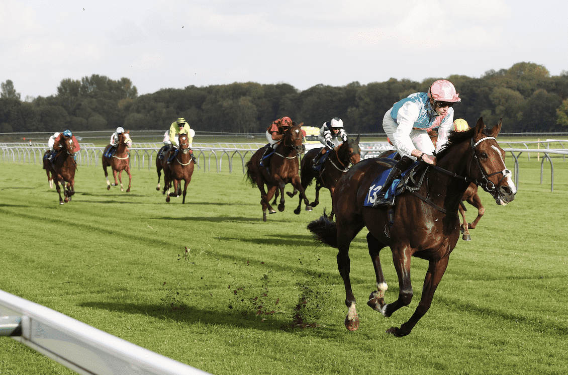 Best horse racing Betting Sites UK