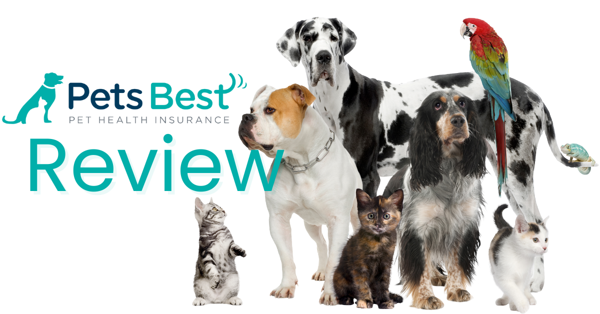 Pets Best Pet Insurance Review