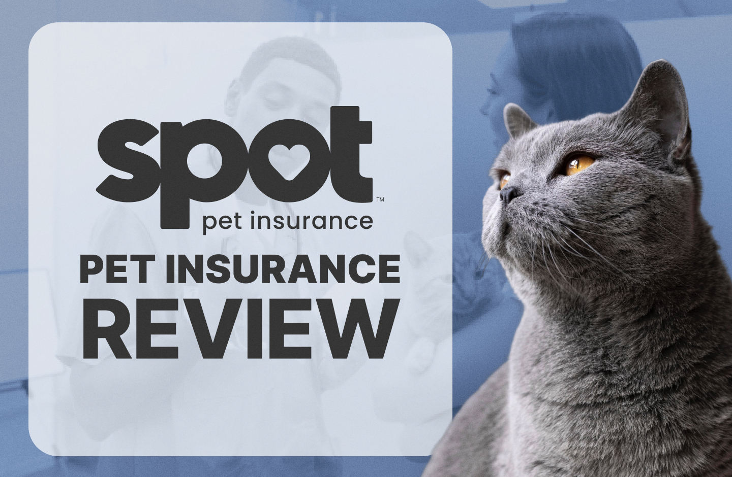 Spot Pet Insurance Review