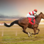 Best Horse Racing Betting Sites for October 2024