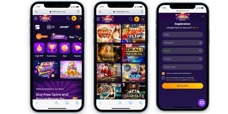 iWild Mastercard Casinos