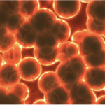 Theriva Biologics Advances Its Product Pipeline To Improve Survival Rates For Many Difficult-To-Treat Cancers