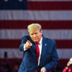 Bitcoin ETFs see surge in interest after Trump election win drives investors to cryptocurrency