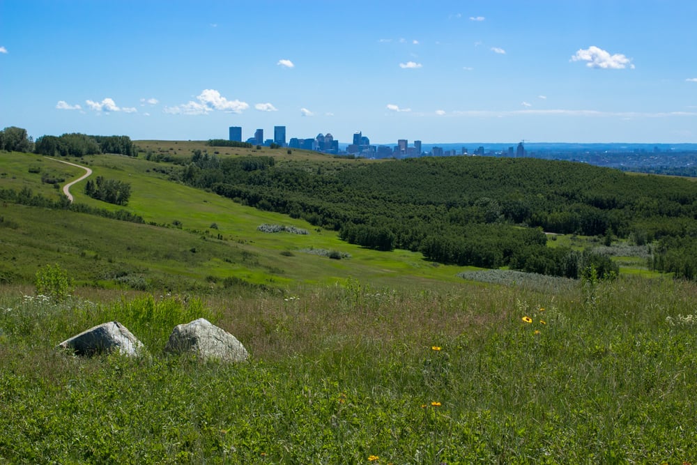 Discover 12 of Calgary’s best neighbourhoods, from bustling city centres to suburban bliss.