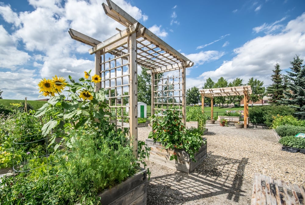 Discover 12 of Calgary’s best neighbourhoods, from bustling city centres to suburban bliss.