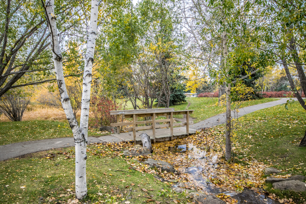 Discover 12 of Calgary’s best neighbourhoods, from bustling city centres to suburban bliss.