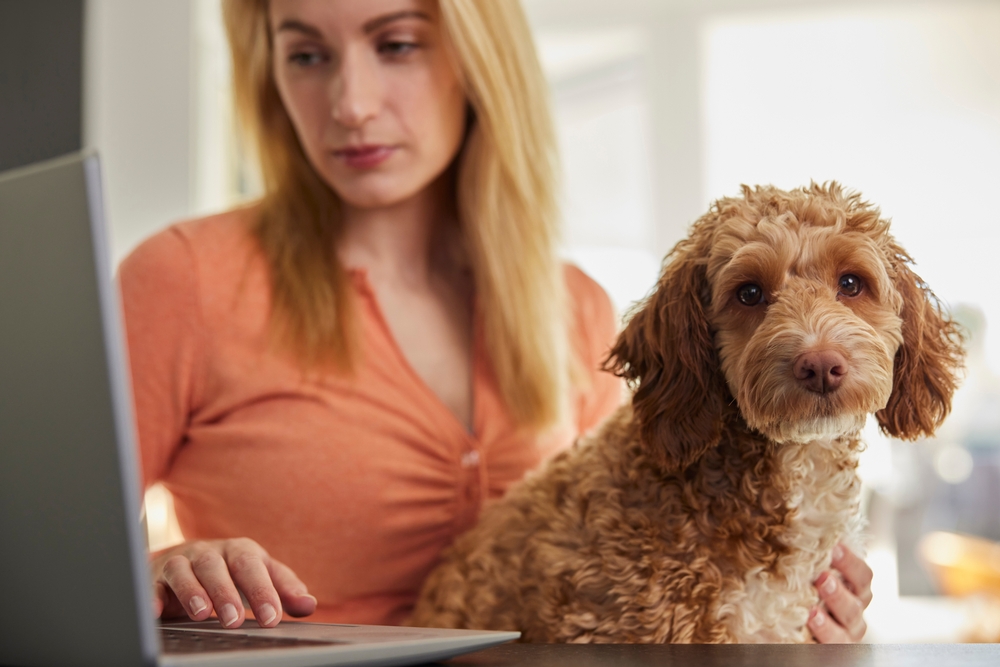 owner and pet