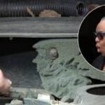 Growing rat infestations are causing thousands of dollars worth of damage to cars across Chicago — but chewed up wires aren’t covered by warranty. How to pest-proof your vehicle now