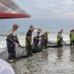 ‘This is the hardest year ever’: US trade war uncertainty has left farmers in this Chinese fishing town scrambling — and it may lead to a ripple effect for American workers
