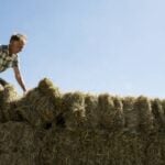 I spent years building up $27,000 in my 401(k) but lost track of it when I switched jobs — now my old company won’t help me find the account. Is this even legal?