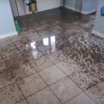 ‘Our house is destroyed’: Florida family home flooded with sewage after Pasco County mistake