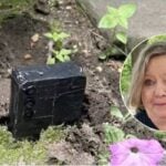 ‘Why us?’: This NYC homeowner found a phone wrapped in duct tape buried in her lawn — and police say it’s part of a new tactic burglars are using to spy on potential victims