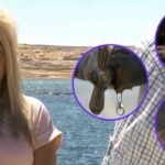 ‘The public is the loser’: Arizona houseboat owners say ‘no-bid’ management company has failed to maintain their marina — despite reportedly raking in hundreds of millions