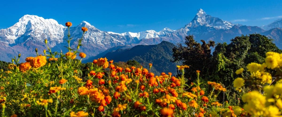 Nepal