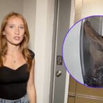 ‘I thought maybe it was the UPS guy’: Florida family woken up by alligator scratching at their front door — here’s how to safeguard your home from gator gatecrashers