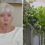 How 1 plastic shed in a Florida backyard set off a years-long legal battle that’s costing local homeowners thousands of dollars in HOA assessments — ways to avoid the same fate