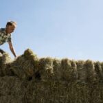 I spent years building up $27,000 in my 401(k) but lost track of it when I switched jobs — now my old company won’t help me find the account. Is this even legal?