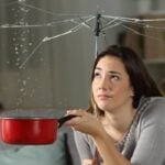 Nova Scotia renter fed up after fighting for nearly a decade to get her apartment repaired. Here’s why she says government support systems are broken