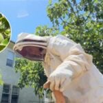 Oakland residents flocking to homesteading amid the high cost of living and fears over political unrest — but does this type of self-sufficiency really make financial sense?