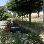 ‘We’re actually saving them money’: These Portland, Oregon neighbors say city officials are dragging their feet responding to a crime wave — so they grew their own solution