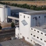 ‘Proof is in the pudding’: Roughly 600 Sacramento employees to lose jobs as Blue Diamond Growers announces plans to close flagship manufacturing plant — what to do if it happens to you