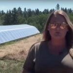 This Colorado woman is locked in a zoning war with the county over her ‘dream’ $150K greenhouse — but is the planning department guilty of ‘overreach’?