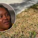 This Florida woman was jailed for 7 nights after a dispute with her HOA over dry patches of grass just kept escalating — why you should never ignore your HOA’s ‘petty’ requests