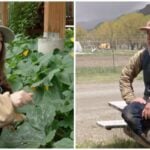 This Montana duo needed help running their 10-acre farm so they turned to TikTok — and ended up with 4,000 applications. Here’s how they turned a shared dream into a sustainable reality