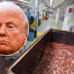 Trump’s order to ‘rip the waste’ from US budget has finally killed penny production — so will they skyrocket in value now? Here’s what to do with them