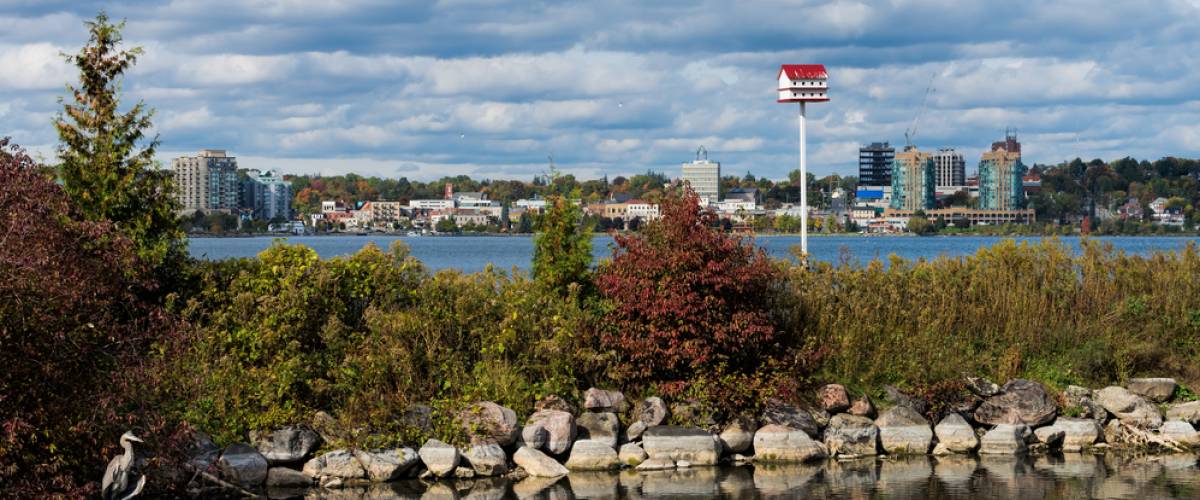 Barrie